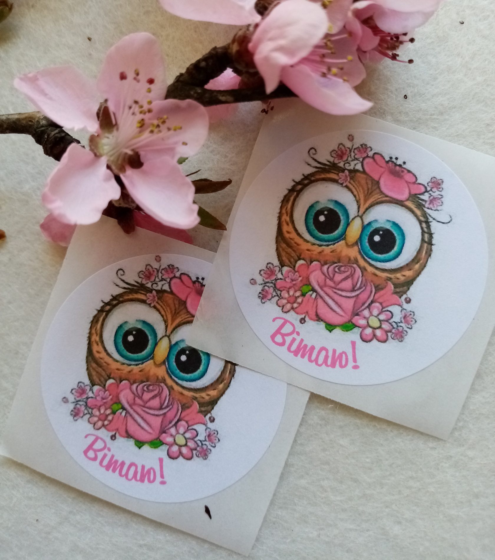 Stickers «Вітаю!» with owl N2SH012