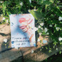 Открытки «Тільки мрії надихають на дії» BK3SH00503