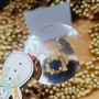 Наклейки прозрачные «Merry Cristmas» диаметром 4см NG_nakl_003