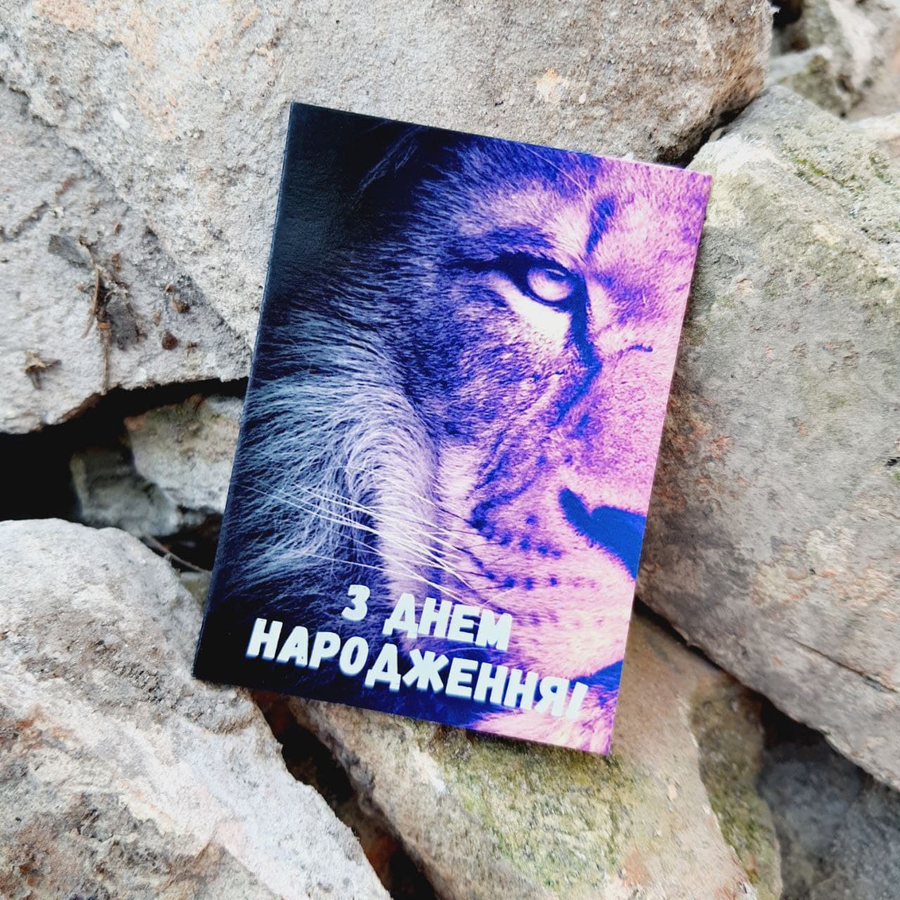 Листівка розміром 6x8 см «З днем Народження!» BK3SH426